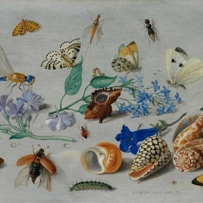 Butterflies and other insects