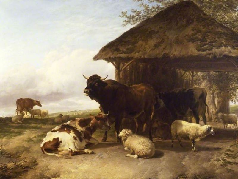 A highlight image for cows and sheep