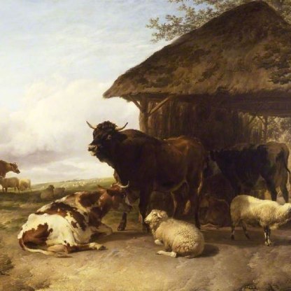 A highlight image for cows and sheep