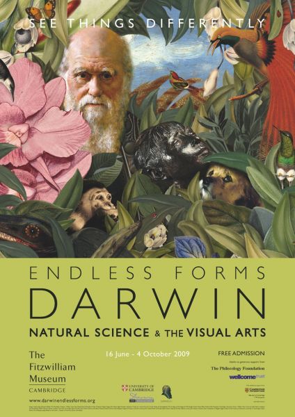 Featured image for the project: Darwin and the Arts? Introducing the 'Endless Forms' Podcast Series
