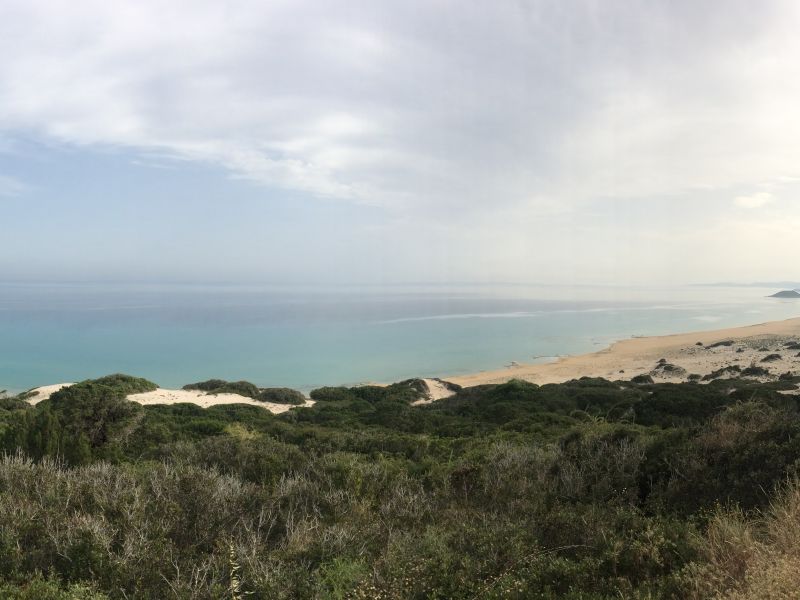 A landscape shot of a cypriot beach