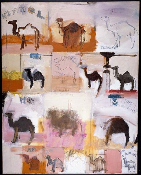 Featured image for the project: Camels