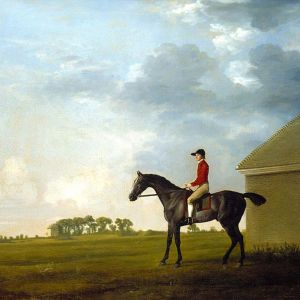 The painting of Gimcrack by Stubbs