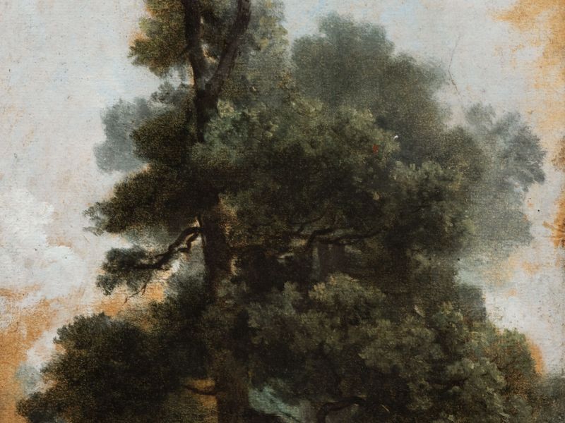 Highlight image for Study of a Tree in the Bois de Boulogne