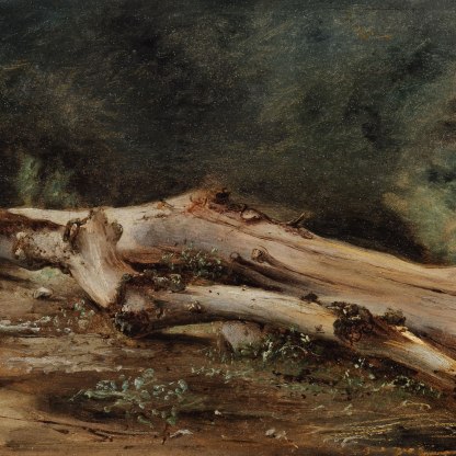 Highlight image for Study of a Fallen Dead Tree