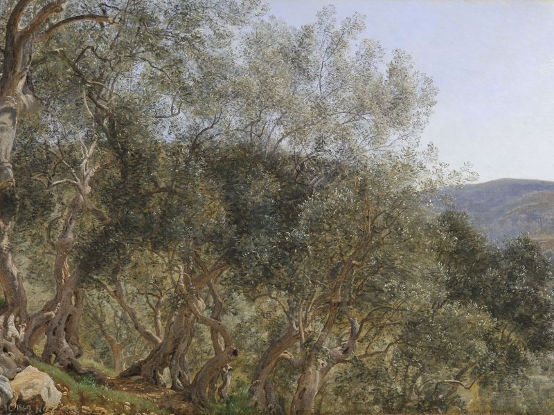 Highlight image for Janus La Cour Olive Trees Near Tivoli