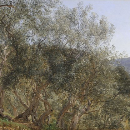 Olive Trees near Tivoli