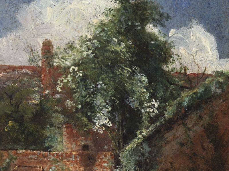 Highlight image for View of Gardens at Hampstead, with an Elder Tree
