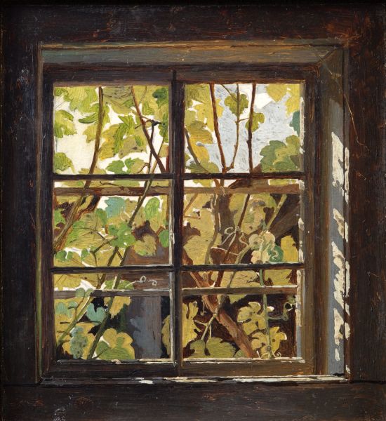 Featured image for the project: Vines seen through a Window