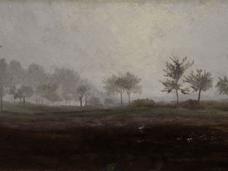 Highlight image for Misty Landscape