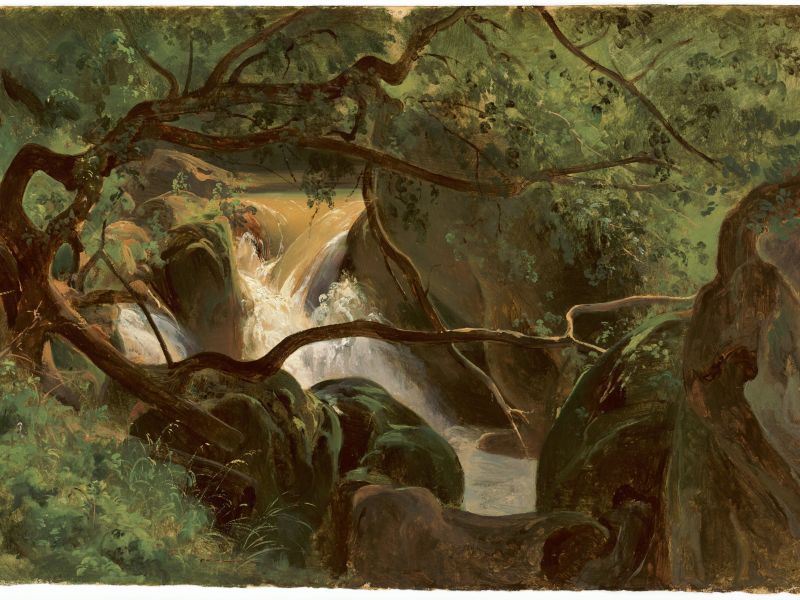 Highlight image for Forest Interior with a Waterfall, Papigno
