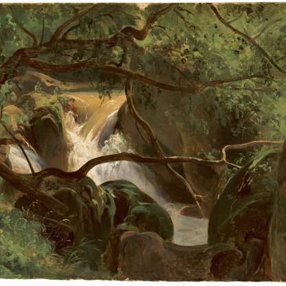 Highlight image for Forest Interior with a Waterfall, Papigno