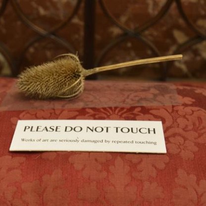Highlight image for Please, do not touch