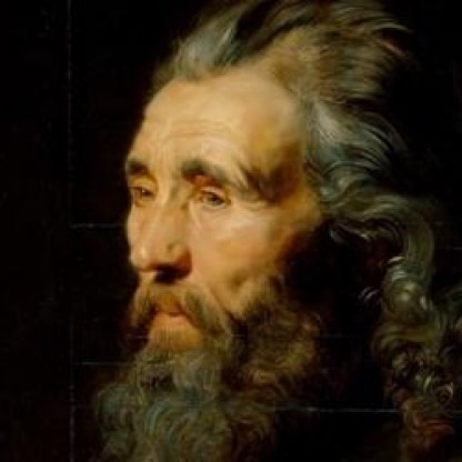 Rubens’ Head Study of a Bearded Man